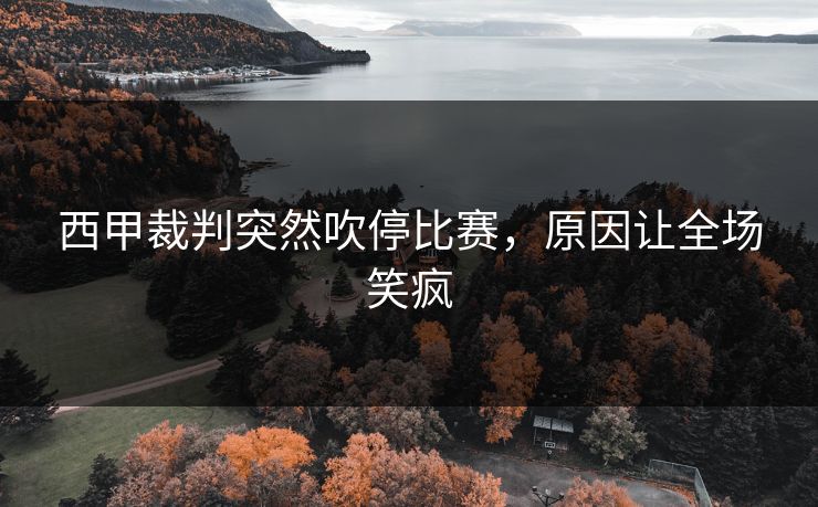 西甲裁判突然吹停比赛,原因让全场笑疯 西甲裁判突然吹停比赛,原因让全场笑疯