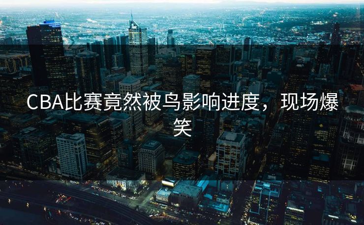 CBA比赛竟然被鸟影响进度，现场爆笑