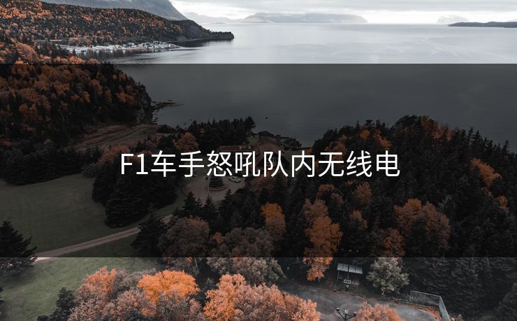 F1车手怒吼队内无线电